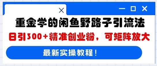 重金学的闲鱼野路子引流法，日引300+精准创业粉，可矩阵放大-轻创终点站